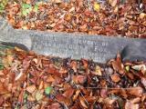 image of grave number 170908